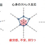 職業性ストレス簡易調査票 結果サンプル