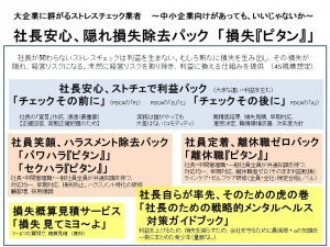 損ピタン 全体像 20171005