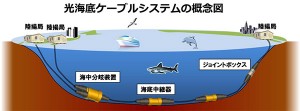 海底ケーブル概念図
